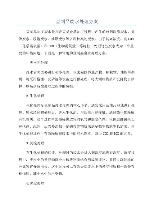 豆制品废水处理方案