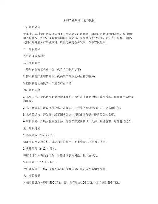 乡村农业项目计划书模板