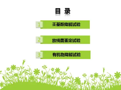壬基酚降解试验