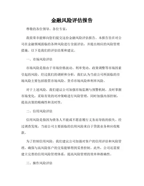 金融风险评估报告