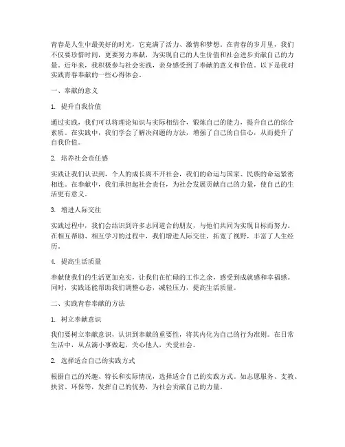 实践青春奉献心得体会
