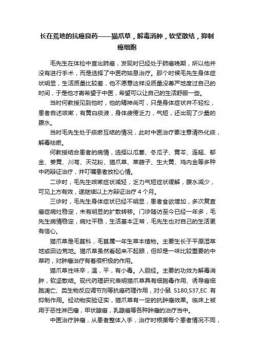 长在荒地的抗癌良药——猫爪草，解毒消肿，软坚散结，抑制癌细胞