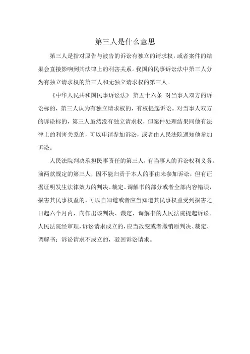 第三人是什么意思