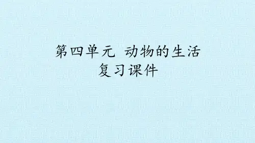 二年级上册科学课件-第四单元 动物的生活  复习课件 大象版(共12张PPT)