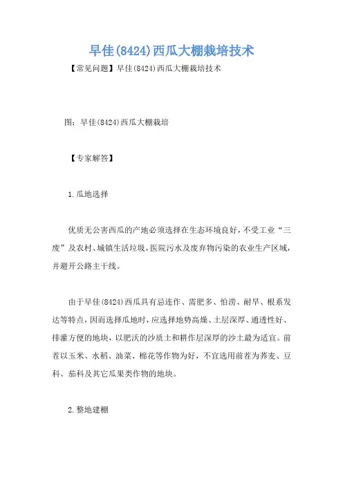 早佳(8424)西瓜大棚栽培技术