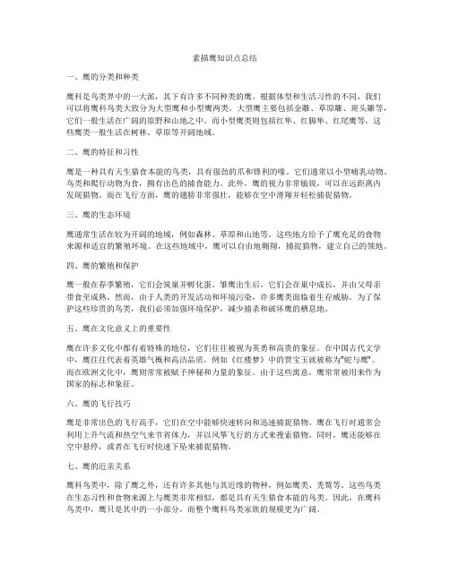 素描鹰知识点总结