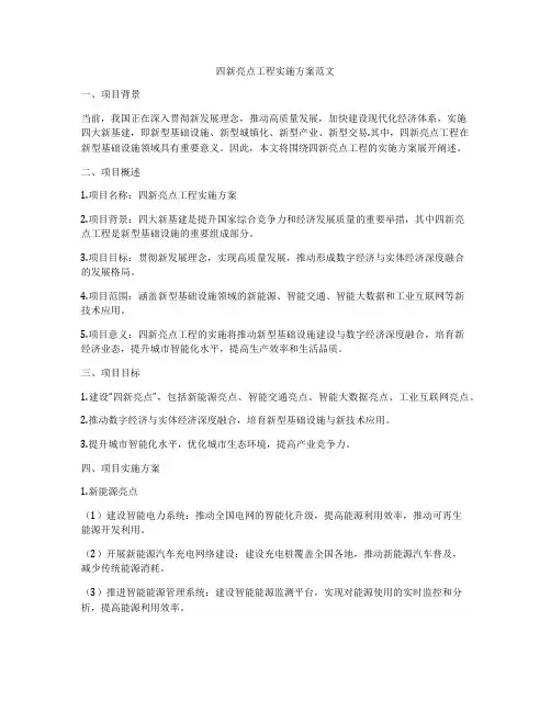 四新亮点工程实施方案范文