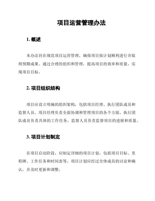 项目运营管理办法