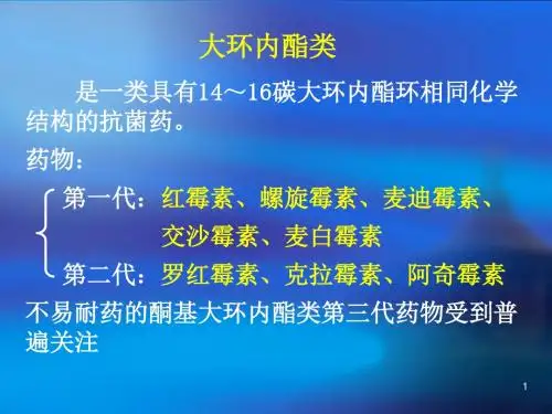 大环内酯类
