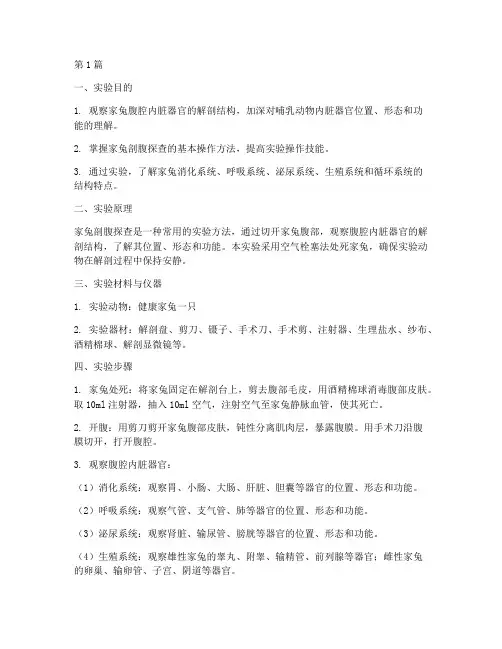 家兔实验报告剖腹探查(3篇)
