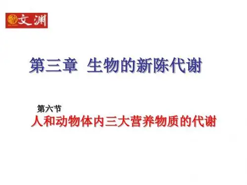 人和动物体内三大营养物质的代谢(201909)