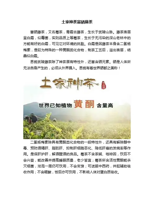 土家神茶富硒藤茶
