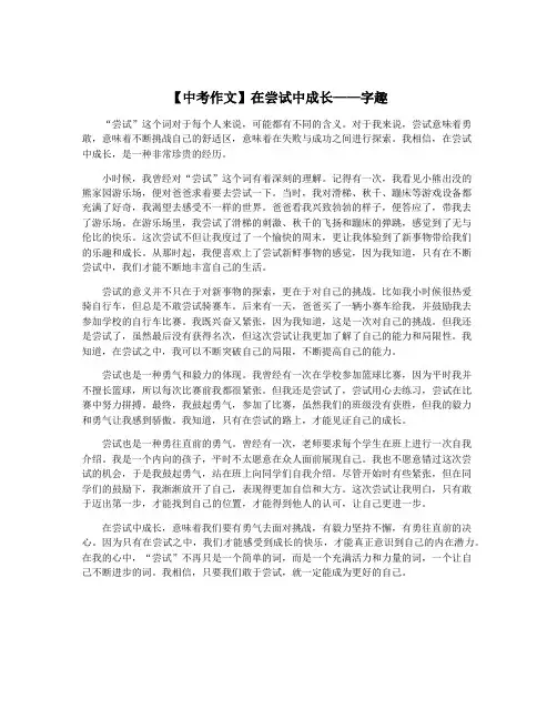 【中考作文】在尝试中成长——字趣