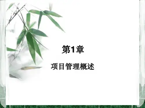 项目管理_(程敏)_课件__第1章_项目管理概论