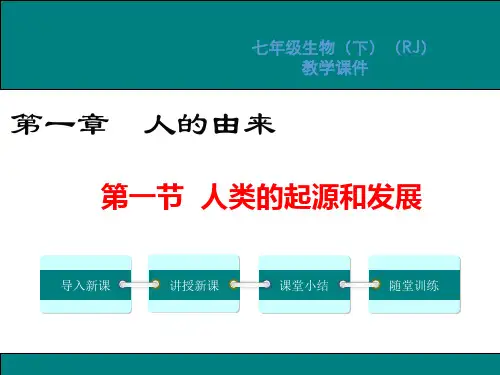 人教版七年级生物下册第四单元第一章人的由来PPT