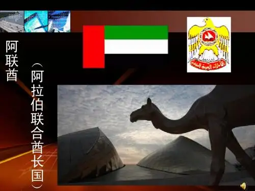 阿联酋