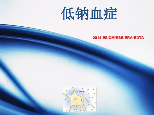 低钠血症 ppt