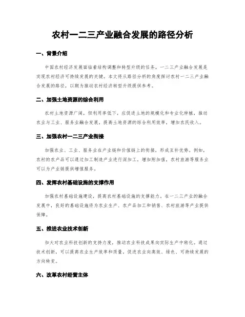 农村一二三产业融合发展的路径分析