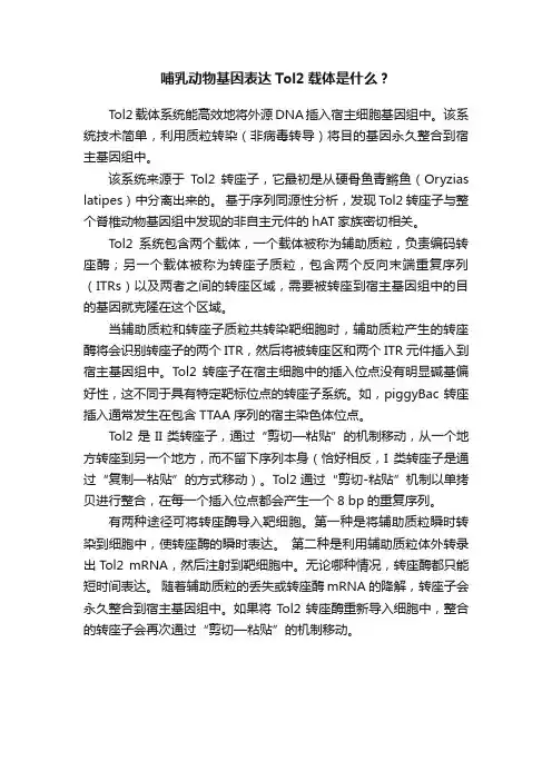 哺乳动物基因表达Tol2载体是什么？
