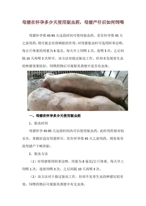 母猪在怀孕多少天使用驱虫药,母猪产仔后如何饲喂