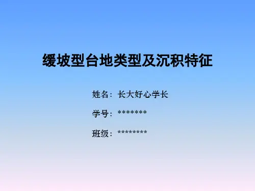 缓坡型台地类型及沉积特征