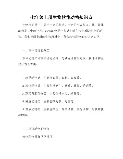 七年级上册生物软体动物知识点