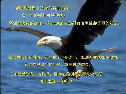 青岛啤酒销售管理模式和运营模式
