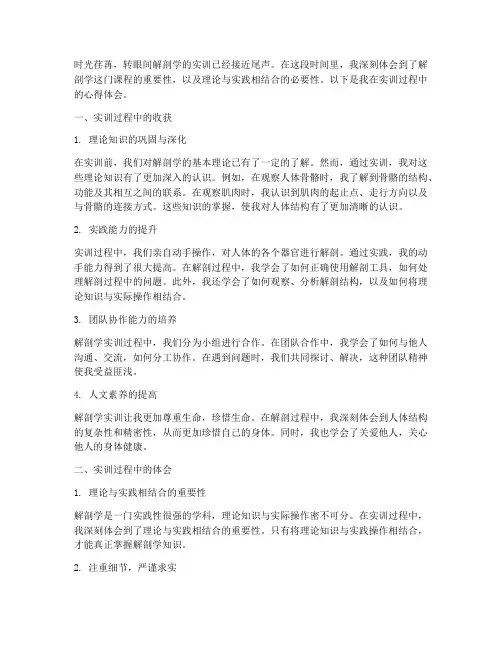 实训报告心得体会解剖学