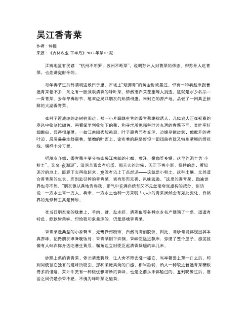 吴江香青菜