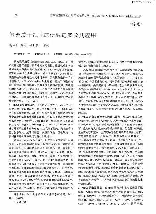 间充质干细胞的研究进展及其应用