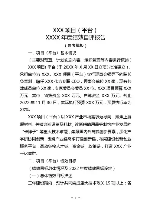 年度绩效评价自评报告模板