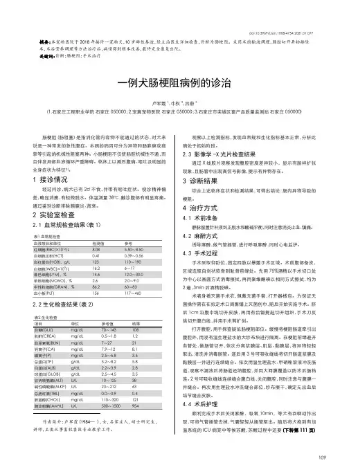 一例犬肠梗阻病例的诊治