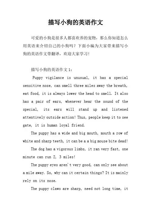 描写小狗的英语作文
