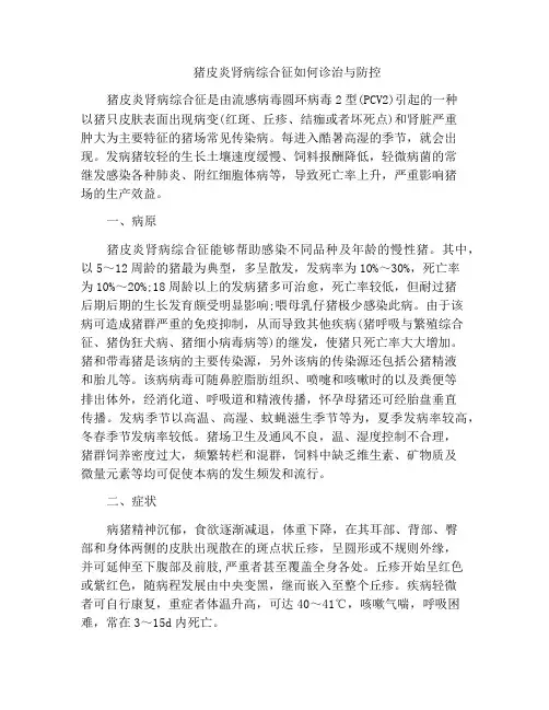 猪皮炎肾病综合征如何诊治与防控