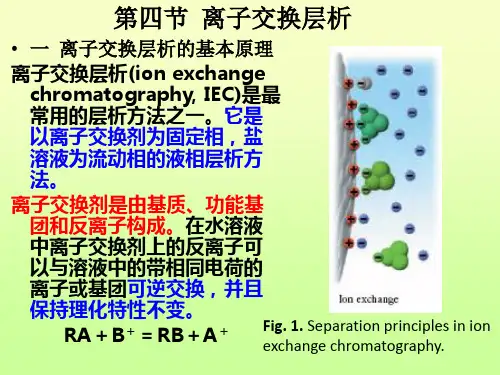 第四节  离子交换层析(第二章)