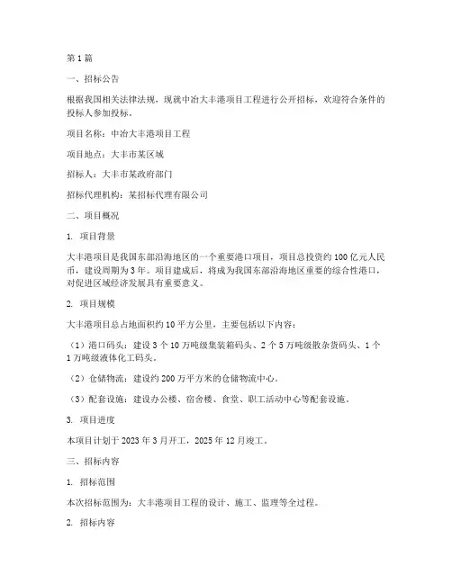 中冶大丰港项目工程招标(3篇)