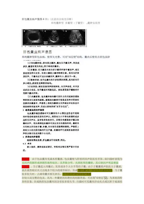 肝包囊虫病声像图