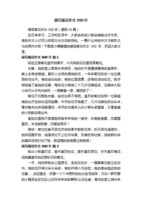 描写菊花作文300字（通用33篇）
