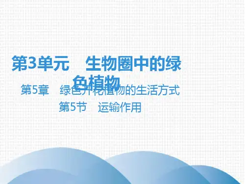 2019秋北师大版七年级生物上册课件：第3单元 第5章 第5节 运输作用(共46张PPT)