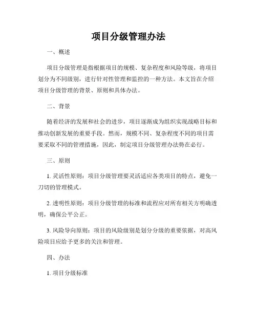 项目分级管理办法