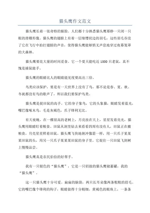 猫头鹰作文范文