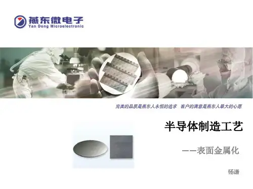 金属化  半导体工艺