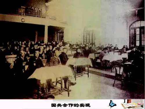 【初中历史】国民革命的洪流ppt20 北师大版