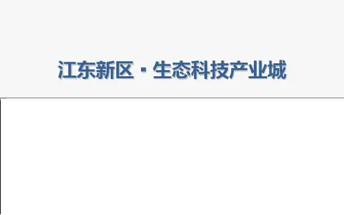 0808河源江东新区产业规划汇总