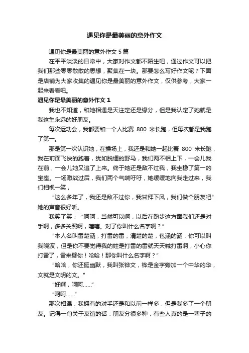遇见你是最美丽的意外作文
