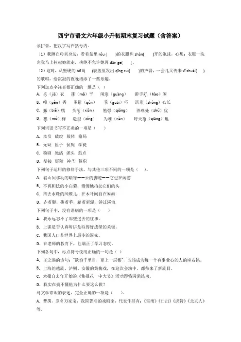 西宁市语文六年级小升初期末复习试题(含答案)