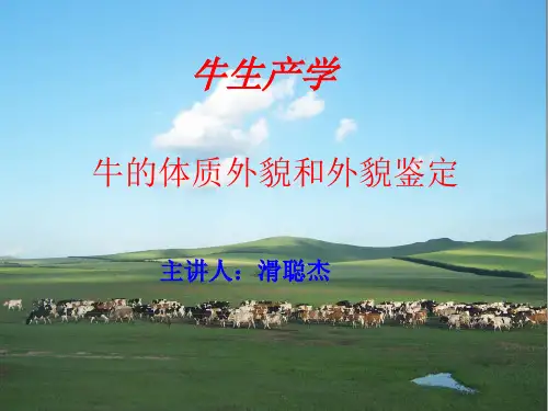 牛的体质外貌和外貌鉴定PPT精选文档