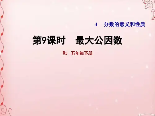 五年级下册数学课件-4.9 最大公因数 人教版(共19张PPT)