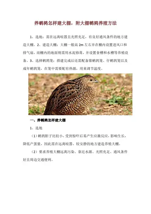 养鹌鹑怎样建大棚,附大棚鹌鹑养殖方法