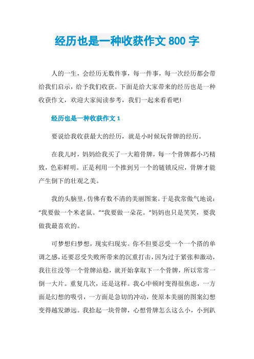 经历也是一种收获作文800字